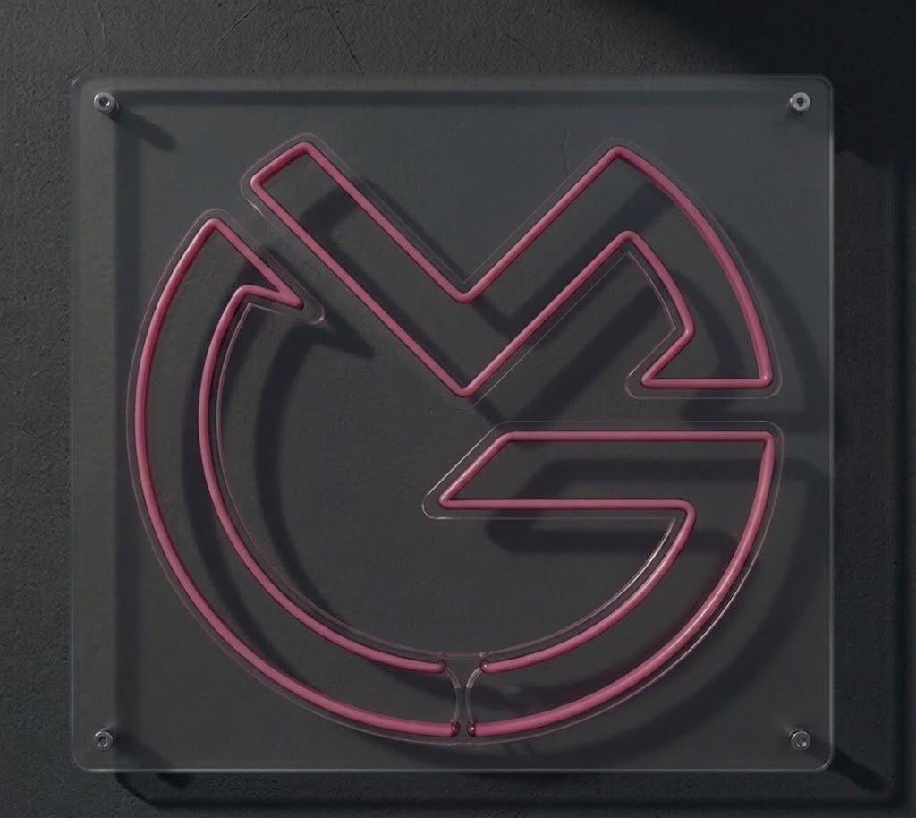 LED neon